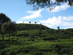 13645IMG_3906.JPG
