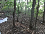 2012-09-24_10-40-15_DSC03048.JPG