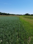 2017-07-03_13-48-55_FacingEast.jpg