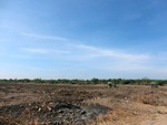 40845CIMG6831.JPG
