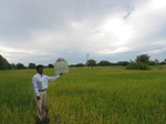 7897gt103a_cropland_rice.jpg