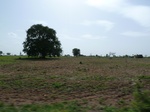 19281P1010127.JPG