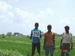 74240310b-irrigated-canal-rice-doublecrop-gram.jpg