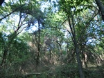 2012-09-21_16-12-29_CIMG2969.JPG