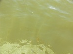 2012-09-21_14-27-05_CIMG0014.JPG